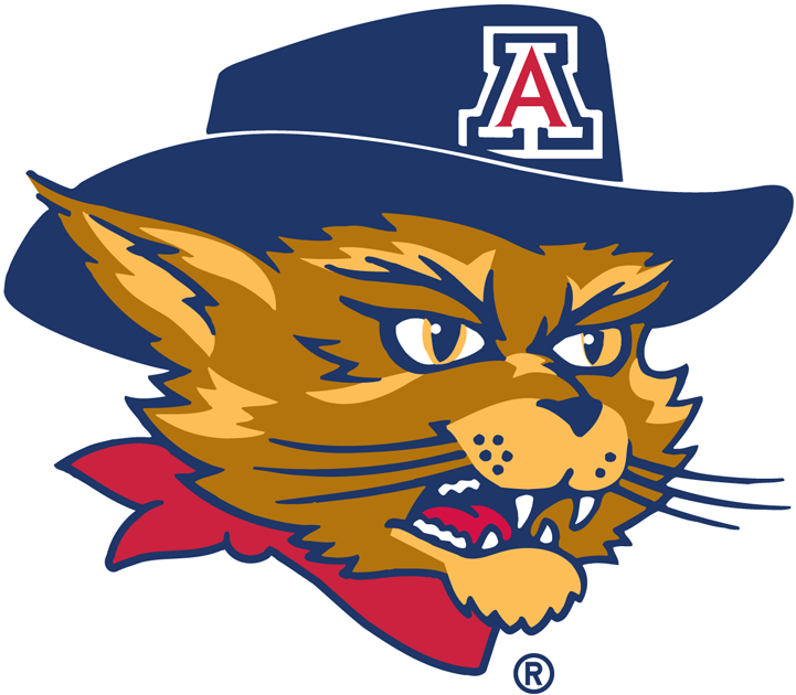 Arizona Wildcats 2003-Pres Mascot Logo t shirts DIY iron ons v6